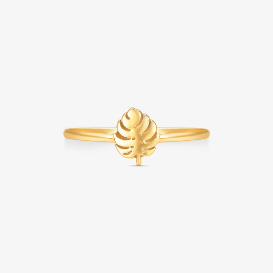 Anel Costela de Adão em Ouro Amarelo 18K